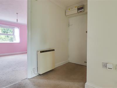 Picture 11